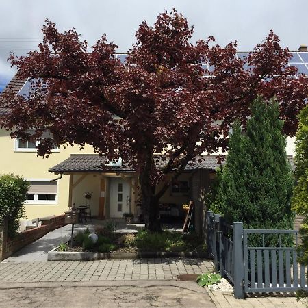 Apartmentvermietung Ingrid Bolkart - Landleben 6 Illertissen Εξωτερικό φωτογραφία
